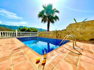 een zwembad met een palmboom en een fles bier bij Villa Nuria in Frigiliana