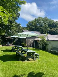 a picnic table with an umbrella in the grass at Duneden Belle Glamping in Randalstown