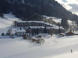 Ferienwohnung im kuhlen Allgäu durante l'inverno