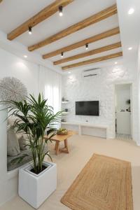 a living room with a tv and a plant at Kamvas Deluxe Apartments in Naxos Chora