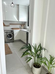 eine Küche mit weißen Schränken und einer Topfpflanze in der Unterkunft 3 bedrooms, spacious apartment 60 m from the beach in El Médano