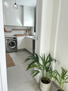 a kitchen with white cabinets and a potted plant at MedanoJoy1- 3 bedrooms, spacious apartment 60 m from the beach in El Médano