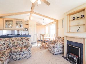 Lybster的住宿－The Cabin，带沙发和壁炉的客厅