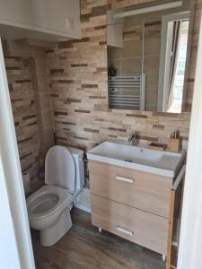 W łazience znajduje się toaleta, umywalka i lustro. w obiekcie Ilot Désille w mieście Boulogne-sur-Mer