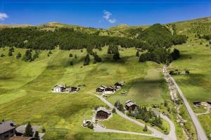 an aerial view of a green hill with houses on it at Mountain Chalet Milly in Livigno