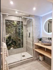 y baño con ducha y puerta de cristal. en Majord'Home Spa 5* - La Source Cœur Vieille Ville, en Annecy