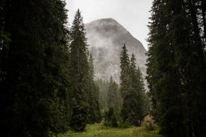 a mountain in the middle of a forest with trees at Das Verwall - finest serviced apartments in Lech am Arlberg