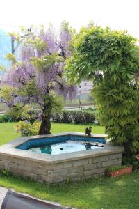 a cat sitting in a fountain in a yard with a tree at Hotel Posta in Le Prese, Poschiavo
