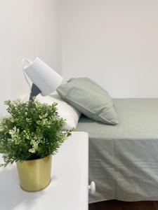 a lamp and a potted plant on a table next to a bed at Apartamento el Cim, al centro de Arbúcies in Arbúcies