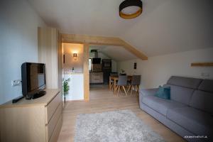 a living room with a couch and a tv at Haus Almrausch in Seefeld in Tirol