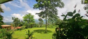 a view of a green field with trees and a house at Koi Room in Quesada