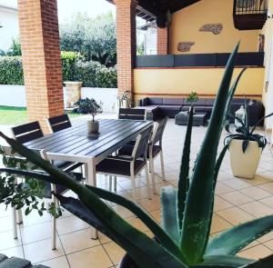 einen Tisch und Stühle sowie eine Topfpflanze auf einer Terrasse in der Unterkunft Sotto il Portico Home in Tezze sul Brenta
