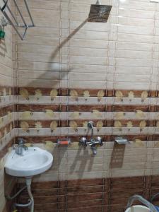 baño con lavabo y patos en la pared en Swapnil Homestay, en Varanasi