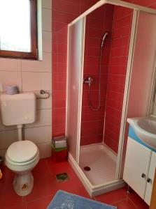 a bathroom with a shower and a toilet and a sink at Tourist Farm Lavrič in Woditz