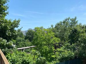 a group of trees with a blue sky in the background at Kremslodge in Krems an der Donau