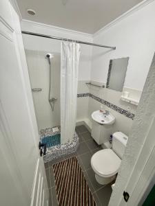 a small bathroom with a toilet and a shower at Hotel Crocus in Bosteri +52 photos