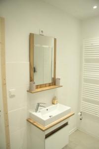 a bathroom with a white sink and a mirror at Ferienwohnung Bellmann in Prinzenmoor