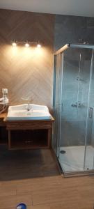 a bathroom with a sink and a shower at Noclegi u Jancoka in Brzegi