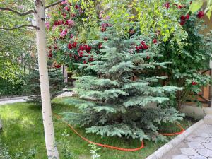 Gallery image of Hotel Crocus in Bosteri