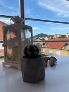 a plant sitting next to a window with a candle at Book home in Vršac