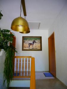 Postel nebo postele na pokoji v ubytování Ferienwohnung Eichkatzel