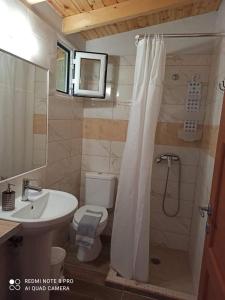 ein Bad mit einer Dusche, einem WC und einem Waschbecken in der Unterkunft Takis & Eirini Family Apartments in Perama