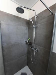 y baño con ducha con cabezal de ducha. en Wagener's Hof Apartments, en Bad Wildungen