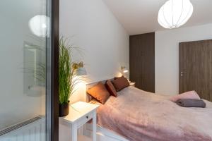 a bedroom with a large bed and a glass wall at Modern & Newly built apartment with private garage in Budapest
