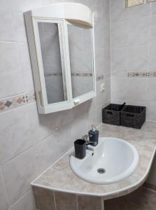 baño con lavabo y botiquín en Apartma na vasi en Sečovlje