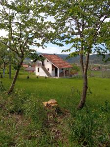 a house in the middle of a field with two trees at Kuća za odmor Jutro in Kremna
