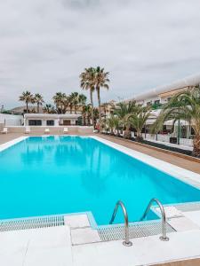 a large blue swimming pool with palm trees at Dahlia Apartment DunaSol in Corralejo