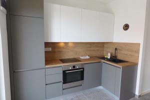 Kuchyň nebo kuchyňský kout v ubytování Apartment Walter