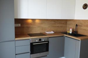 Kuchyň nebo kuchyňský kout v ubytování Apartment Walter