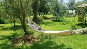 un hamac suspendu à un arbre dans un jardin dans l'établissement Ksar Salha, à Marrakech