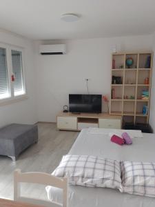 TV a/nebo společenská místnost v ubytování Studio Lucija