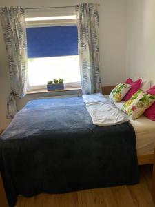 シュチェチンにあるBellis Apartmentの窓のある部屋に置かれたベッド