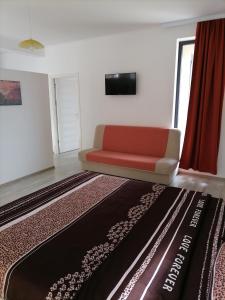 a living room with a couch and a rug at Rimimi Apartamente in Mamaia Nord