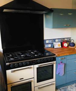 a kitchen with a stove and blue cabinets at Entre Vignobles et Estuaire - Gîte 12 pers in Saint-Thomas-de-Cônac