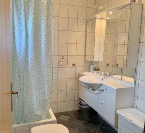 a bathroom with a toilet and a sink and a shower at Apartments Maro in Senj +32 photos