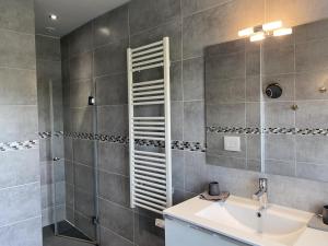 łazienka z umywalką i prysznicem z lustrem w obiekcie Charmant gîte avec piscine partagée, terrasse et parking privé à deux pas de Moulins - FR-1-489-373 w mieście Neuvy