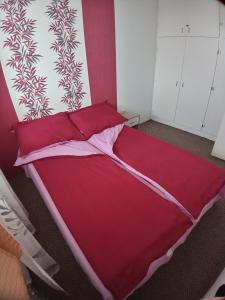セゲドにあるEncsi lakの赤毛布付きのドミトリールームのベッド1台分です。