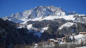 a snow covered mountain with a village in the foreground at Apartment Residence Les Alpages in La Giettaz