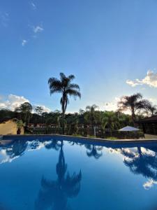 een weerspiegeling van een palmboom in een zwembad bij Chalés Sitio Dois Lagos - Amparo SP in Amparo