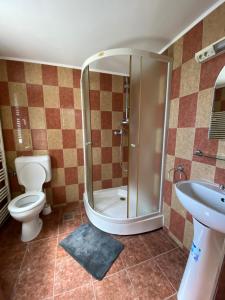 uma casa de banho com um chuveiro, um WC e um lavatório. em Pensiunea Martuca em Şurdeşti