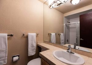 uma casa de banho com um lavatório e um espelho em Perfect 3BD Mountain Getaway em Vail