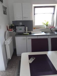 Köök või kööginurk majutusasutuses Apartman Breza