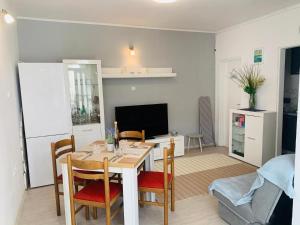 Televízia a/alebo spoločenská miestnosť v ubytovaní Apartman Flora's Garden