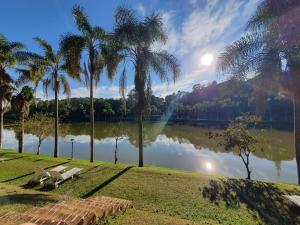 a park bench next to a lake with palm trees at Chalés Sitio Dois Lagos - Amparo SP in Amparo