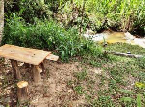 a wooden bench sitting in the grass next to a creek at Ecoturismo Tripuí in Aiuruoca