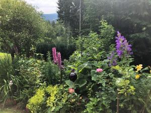 A garden outside Charmantes Bauernhaus in erhöhter Aussichtslage